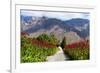 South Africa, Hex River Valley-Catharina Lux-Framed Photographic Print