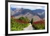 South Africa, Hex River Valley-Catharina Lux-Framed Photographic Print