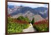 South Africa, Hex River Valley-Catharina Lux-Framed Photographic Print