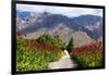 South Africa, Hex River Valley-Catharina Lux-Framed Photographic Print