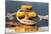 South Africa, Houtbay, Harbour, Bollard with Ropes-Catharina Lux-Mounted Photographic Print