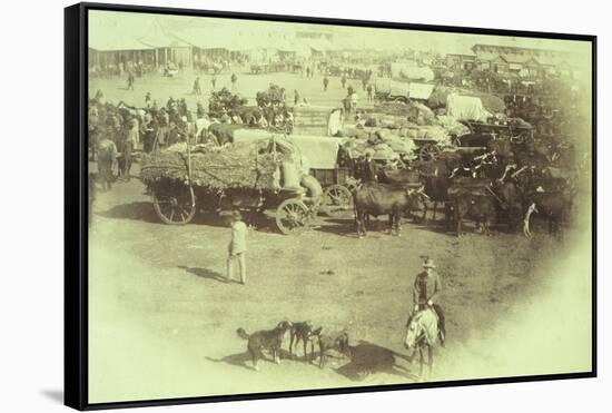 South Africa, Johannesburg, Market Square Market, 1888-null-Framed Stretched Canvas