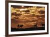 South Africa, Kalahari Gemsbok National Park, Gemsbok at Sunrise-Paul Souders-Framed Photographic Print