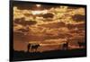 South Africa, Kalahari Gemsbok National Park, Gemsbok at Sunrise-Paul Souders-Framed Photographic Print