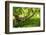 South Africa, 'Kirstenbosch', Camphorwood-Catharina Lux-Framed Photographic Print