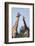 South Africa, Kruger National Park, Giraffes(Giraffa Camelopardalis-Paul Souders-Framed Photographic Print