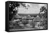 South Africa, Kruger-null-Framed Stretched Canvas