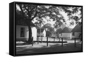 South Africa, Kruger-null-Framed Stretched Canvas