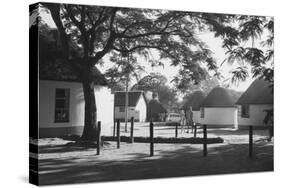 South Africa, Kruger-null-Stretched Canvas