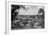 South Africa, Kruger-null-Framed Photographic Print