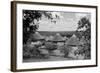 South Africa, Kruger-null-Framed Photographic Print