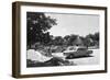 South Africa, Kruger-null-Framed Photographic Print