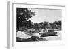 South Africa, Kruger-null-Framed Photographic Print