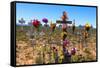 South Africa, Little Karoo, Memorial Crosses-Catharina Lux-Framed Stretched Canvas