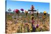 South Africa, Little Karoo, Memorial Crosses-Catharina Lux-Stretched Canvas