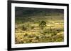 South Africa, Morning Mood in the Little Karoo-Catharina Lux-Framed Photographic Print