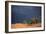 South Africa Thunderstorm, Red Dunes and Camelthorn-Alan J. S. Weaving-Framed Photographic Print