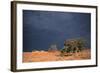 South Africa Thunderstorm, Red Dunes and Camelthorn-Alan J. S. Weaving-Framed Photographic Print