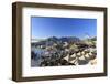 South Africa, Western Cape, Cape Town, V&A Waterfront, Victoria Wharf-Michele Falzone-Framed Photographic Print