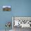 South Africa, Western Cape, Stellenbosch, Aerial view of Simonsberg Mountain range and Stellenbosch-Michele Falzone-Photographic Print displayed on a wall