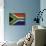 South Africa-David Bowman-Giclee Print displayed on a wall