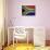 South Africa-David Bowman-Giclee Print displayed on a wall