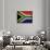 South Africa-David Bowman-Giclee Print displayed on a wall