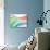 South African Flag-null-Photographic Print displayed on a wall