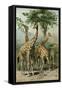 South African Giraffes-null-Framed Stretched Canvas