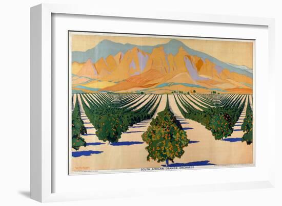 South African Orange Orchards, from the Series 'Summer's Oranges from South Africa'-Guy Kortright-Framed Giclee Print