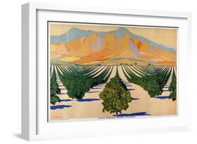 South African Orange Orchards, from the Series 'Summer's Oranges from South Africa'-Guy Kortright-Framed Giclee Print