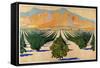 South African Orange Orchards, from the Series 'Summer's Oranges from South Africa'-Guy Kortright-Framed Stretched Canvas