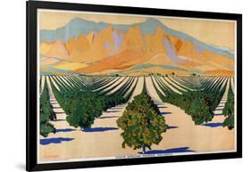 South African Orange Orchards, from the Series 'Summer's Oranges from South Africa'-Guy Kortright-Framed Giclee Print