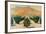 South African Orange Orchards, from the Series 'Summer's Oranges from South Africa'-Guy Kortright-Framed Giclee Print