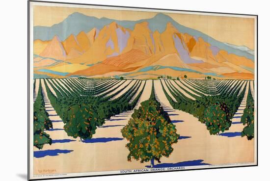 South African Orange Orchards, from the Series 'Summer's Oranges from South Africa'-Guy Kortright-Mounted Giclee Print