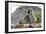 South African Vervet Monkey 005-Bob Langrish-Framed Photographic Print