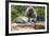 South African Vervet Monkey 006-Bob Langrish-Framed Photographic Print