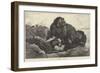 South African Warfare-George Bouverie Goddard-Framed Premium Giclee Print