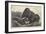 South African Warfare-George Bouverie Goddard-Framed Premium Giclee Print