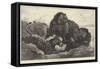 South African Warfare-George Bouverie Goddard-Framed Stretched Canvas