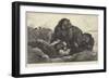 South African Warfare-George Bouverie Goddard-Framed Giclee Print