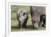 South African White Rhinoceros 014-Bob Langrish-Framed Photographic Print