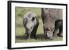 South African White Rhinoceros 014-Bob Langrish-Framed Photographic Print