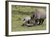 South African White Rhinoceros 016-Bob Langrish-Framed Photographic Print