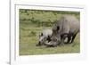 South African White Rhinoceros 016-Bob Langrish-Framed Photographic Print