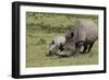 South African White Rhinoceros 016-Bob Langrish-Framed Photographic Print
