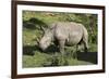 South African White Rhinoceros 022-Bob Langrish-Framed Photographic Print