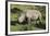 South African White Rhinoceros 022-Bob Langrish-Framed Photographic Print