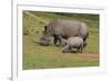 South African White Rhinoceros 028-Bob Langrish-Framed Photographic Print