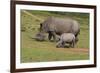 South African White Rhinoceros 028-Bob Langrish-Framed Photographic Print